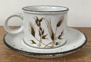 Set Pair Midwinter Stonehenge English Pottery Wild Oats Coffee Tea Cup & Saucer